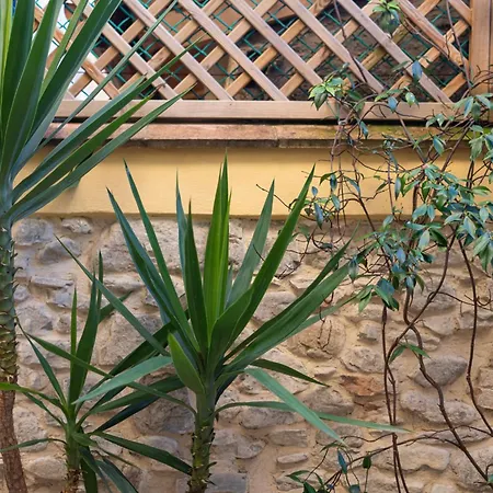 Blu's House In *